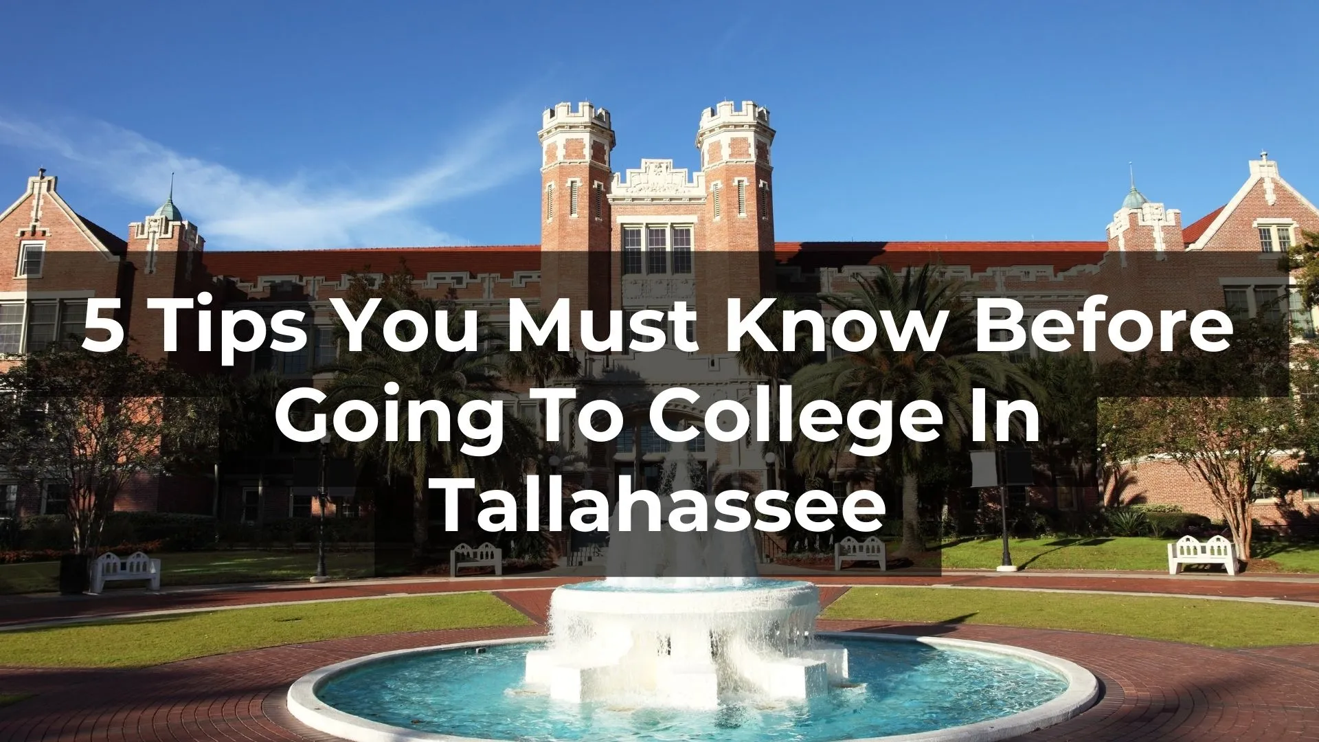 Tallahassee College Tips