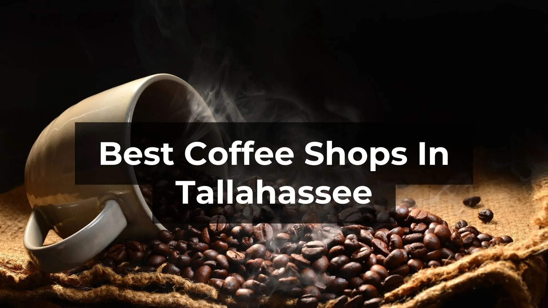 The Best Coffee Shops in Tallahassee